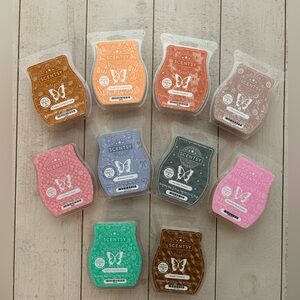 Bundle of 10 New Scentsy Bars